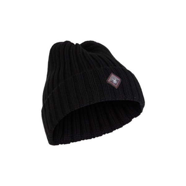 Spyder Spector Mens Beanie Online Hot Sale