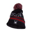 Spyder Icebox Preschool Boys Hat For Discount