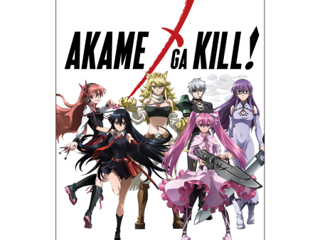 Heroines Wall Scroll for Akame ga Kill! For Cheap