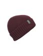 Icebreaker Vela Cuff Adult Beanie For Sale