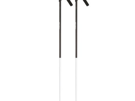 Rossignol FT-501 Nordic Ski Poles For Discount