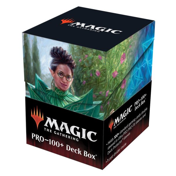 Strixhaven Kianne, Dean of Substance & Imbraham, Dean of Theory 100+ Deck Box for Magic: The Gathering Sale