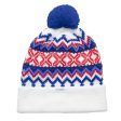 Coal The Winters Adult Pom Beanie Hot on Sale