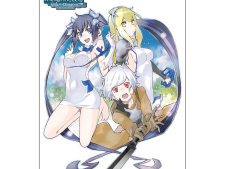 DanMachi Heroines Wall Scroll for Is It Wrong to Try to Pick Up Girls in a Dungeon? Fashion