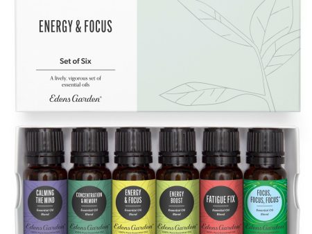 Energy & Focus Essential Oil 6 Set For Discount