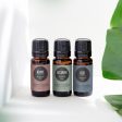 Mind, Body & Soul Essential Oil 3 Set Cheap