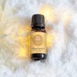 Joyful Holiday Essential Oil Blend – An Uplifting Holiday Blend for Joyful Ambiance Supply