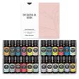 Top Essential Oil Blends 24 Set For Discount