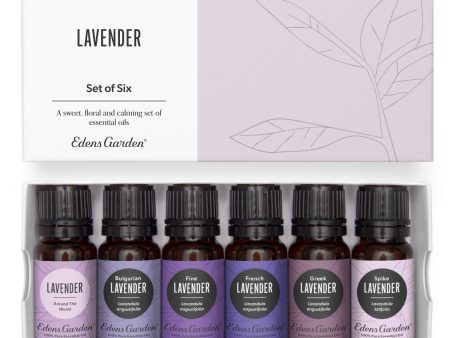 Lavender Essential Oil 6 Set For Sale