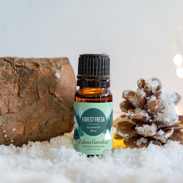 Forest Fresh Essential Oil Blend- The Best Blend To Make The Home Smell Like A Real Christmas Tree For Discount