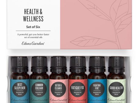 Health & Wellness Essential Oil 6 Set Online Hot Sale