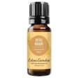 Joyful Holiday Essential Oil Blend – An Uplifting Holiday Blend for Joyful Ambiance Supply