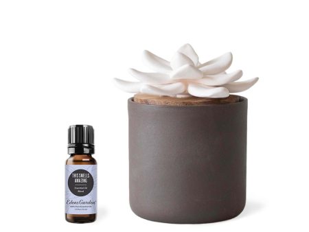 This Smells Amazing Blend & Bloom Diffuser Online Sale