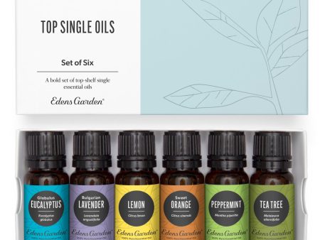 Top Single Essential Oils 6 Set Supply