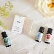 Holiday Essential Oil 3 Set Online