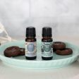 Sparkling Cinnamon Essential Oil Blend- Festive Spice & Creamy Notes Dance Together For A Rich Seasonal Aroma on Sale