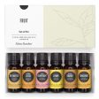 Fruit Essential Oil 6 Set Online Hot Sale