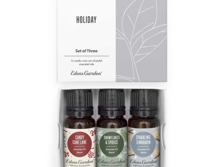 Holiday Essential Oil 3 Set Online